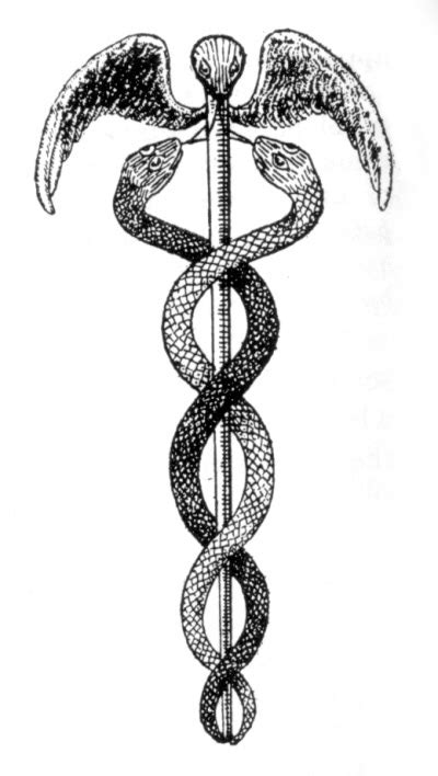 sac hermes serpent|caduceus of Hermes.